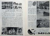 小型映画パンフ　続警察日記　日活ウイークリー・昭和30年度芸術祭参加作品