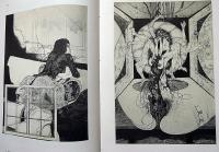 多賀新全作品集1971-1983　SPRING DREAMER THE COMPLETE WORKS OF SHIN TAGA 　別刷オリジナルエッチング付