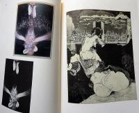 多賀新全作品集1971-1983　SPRING DREAMER THE COMPLETE WORKS OF SHIN TAGA 　別刷オリジナルエッチング付