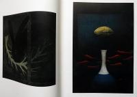 浜口陽三全版画