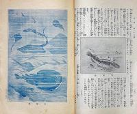少年　明治38年12月(第37号)　口絵欠