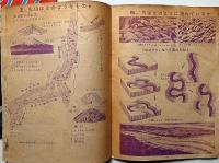 大宇宙図鑑/天体図鑑/学習ぷらいまりー（Primary)/中学生・学習大グラフ　計4冊