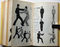 実戦中国拳法　秘門蟷螂拳入門