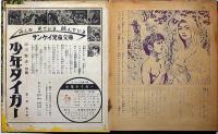 少年タイガー 第10巻