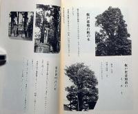 藤原時代とその頃の比内・比内の古木名木・大館市を知る雑誌比内№10号　三冊