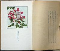 朝顔の栽培