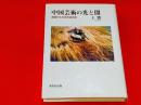 中国芸術の光と闇 : 波瀾万丈の百年芸術史
