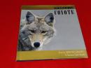 The World of the COYOTE