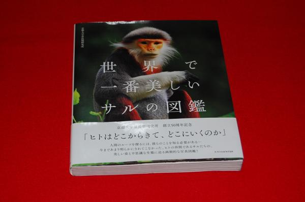 世界で一番美しいサルの図鑑 京都大学霊長類研究所 編 古本 中古本 古書籍の通販は 日本の古本屋 日本の古本屋