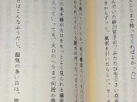 高橋たか子自薦小説集
