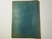 佐喜草(さき草)