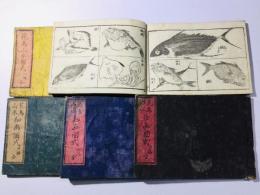 花鳥山水図式(細画図式)