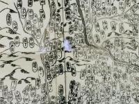 越後国細見図 全