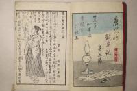 鹿児島戦争記 第二編