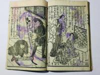 沢村田之助曙草紙 第四編