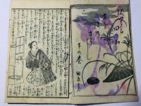 沢村田之助曙草紙 第四編