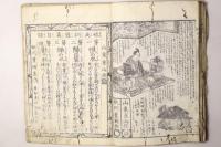 躾草娘庭訓