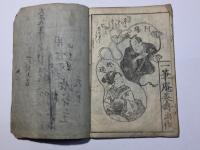 瓢簟小金之鶴