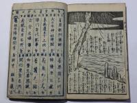 澤村田之助曙草紙 二編