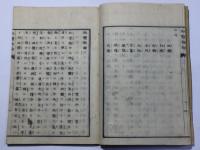 政体新論