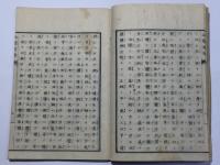 政体新論