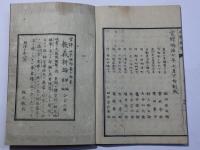 政体新論