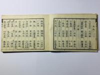 新選 武術流祖録