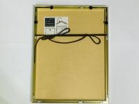 歌川国芳 金魚づくし さらいとんび