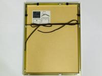 歌川国芳 金魚づくし にはかあめんぼう