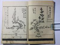 生花玉のまど 全