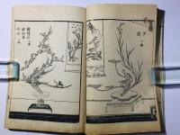 生花玉のまど 全