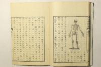 博物新編補遺