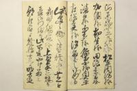 江戸出火（文政十二年 三月廿一日）