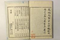 俳諧 饒舌録