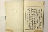 観鵞百譚