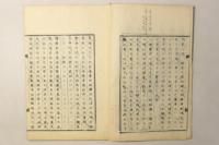 江戸繁昌記