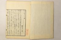 江戸繁昌記