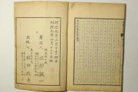 東京新繁昌記