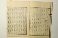 東京新繁昌記