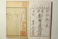 東京新繁昌記