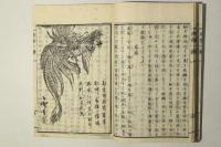 因循一掃