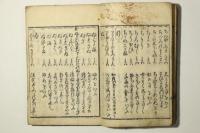 新撰 大和詞大成