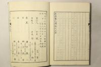 扶桑画人伝