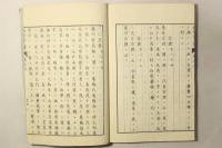 扶桑画人伝