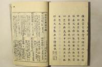 言元梯