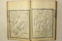 広恵済急方