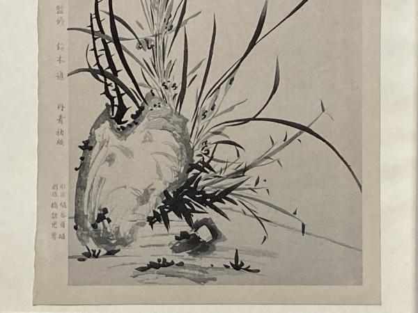 梵芳 蘭石図 / Cosyo Cosyo / 古本、中古本、古書籍の通販は