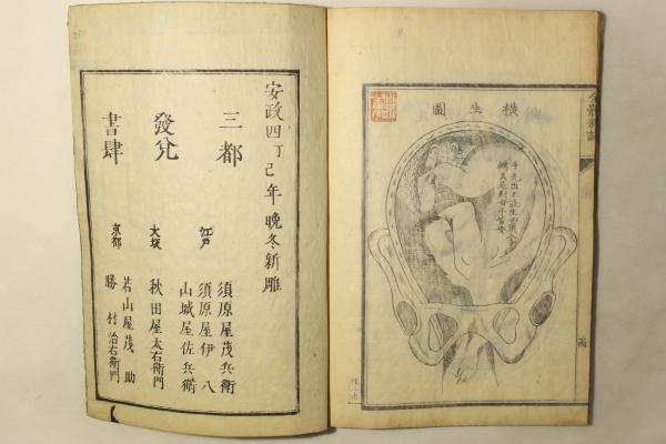 おとぎ話に隠された古代史の謎 (PHP文庫 せ 3-13) | 関 裕二 |本