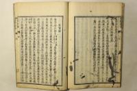 全体新論