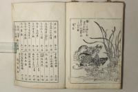 花鳥画譜